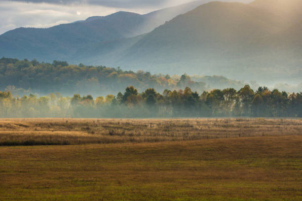 istock Morning in Cades Cove 1012337676