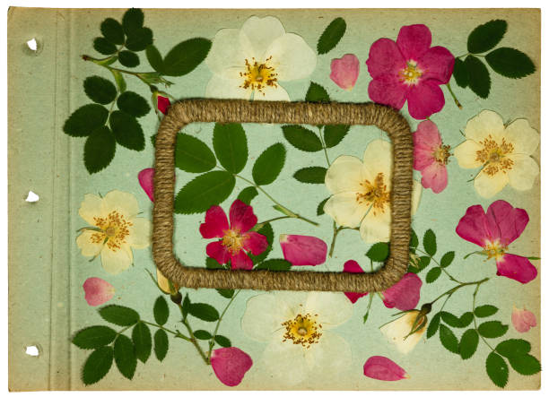 istock Old photo album, scrapbooking element. 1012342264