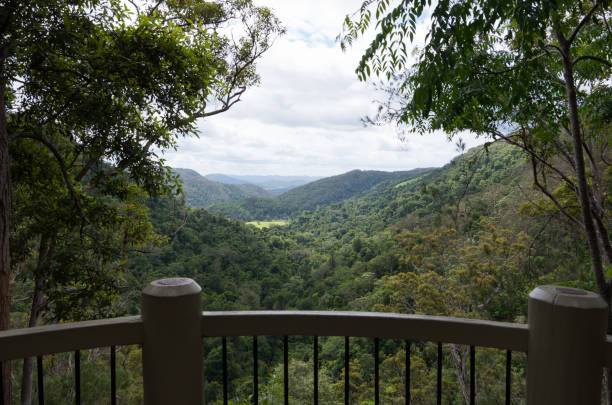 istock Lookout over bushland 1012345406