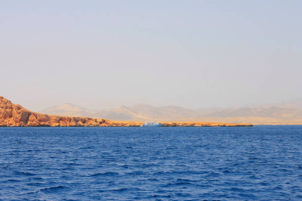 istock White ship moving by the Red sea, Egypt 1012350854