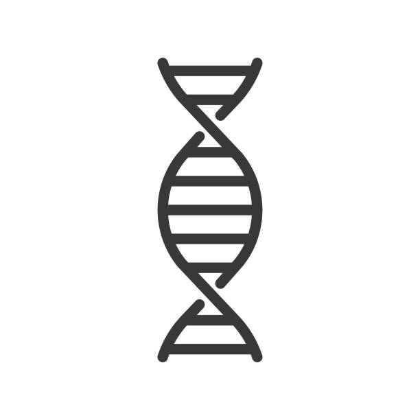 хромосома днк, набор значков контуров - human rna stock illustrations