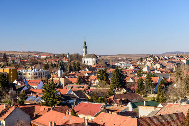 istock Aerial view of Eger 1012357440