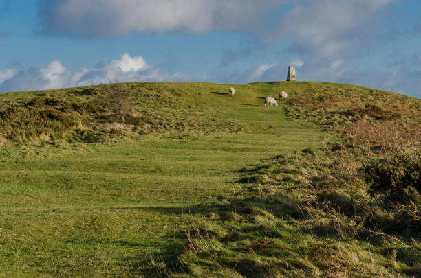 istock Maintained pathways leading to the trig point on Halkyn Mountain 1012357632