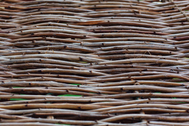 istock Close up wicker fence in the garden. 1012361012