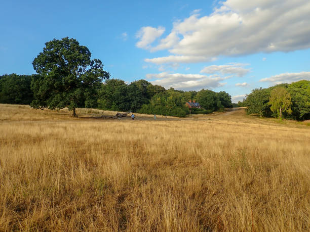 istock View across Chorleywood Common 1012364306