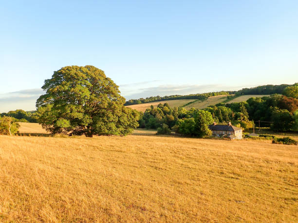 Idyllic rural view of gently rolling patchwork farmland and villages with pretty wooded boundaries, in the beautiful surroundings of the Cotswolds, England, UK.