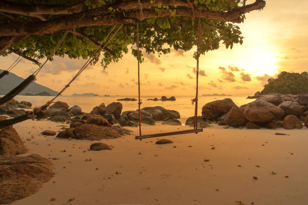 istock Wooden Swing On The Tropical Sunset Beach 1012366854