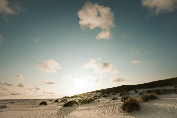 costa de la isla de amrum paisaje - amrum summer spring island fotografías e imágenes de stock