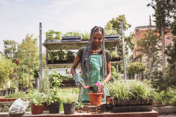 istock African woman doing re-potting in a backyard 1012372058