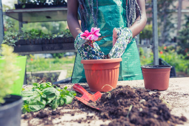 African woman enjoying her time, potting plants  in the garden