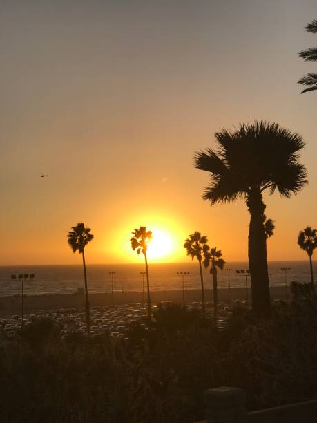 istock Sunset in Santa Monica 1012381070