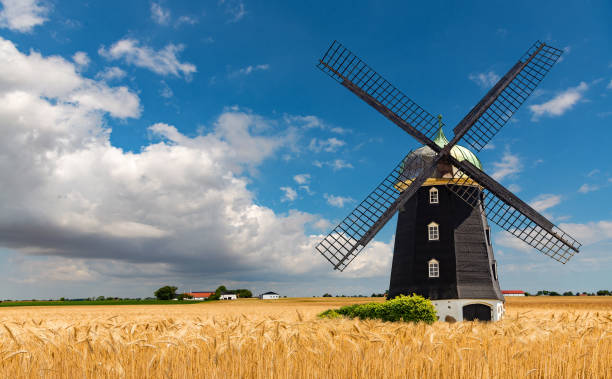 weizen-windmühle. ernte konzent. das standardbild. - rohstoffverarbeitende fabrik stock-fotos und bilder