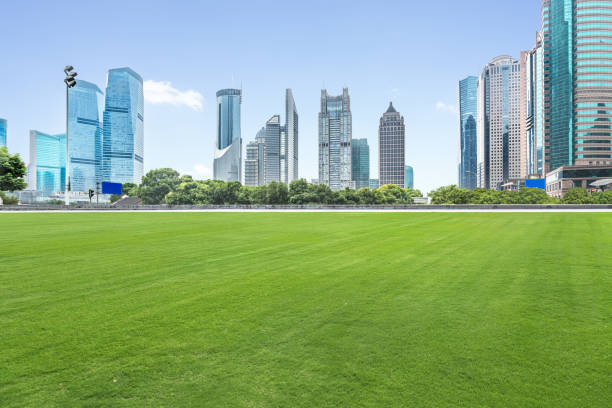 istock Meadow,city skyline,Shanghai,China 1012404508