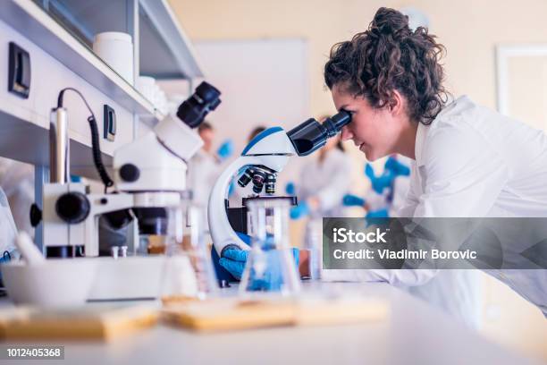 Wissenschaftler Im Labor Arbeiten An Forschung Stockfoto und mehr Bilder von Labor - Labor, Forschung, Wissenschaftsberuf