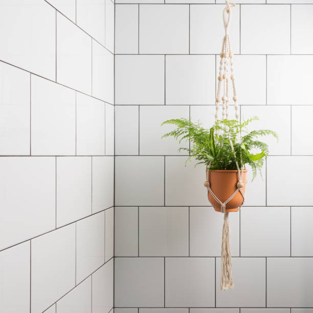 Fern in Macrame on Tiles Indoor bathroom wall featuring a potted fern hanging in a Macrame basket. macrame photos stock pictures, royalty-free photos & images