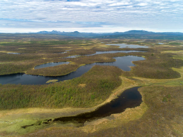 istock Green forest landscape with lakes and rivers 1012408130