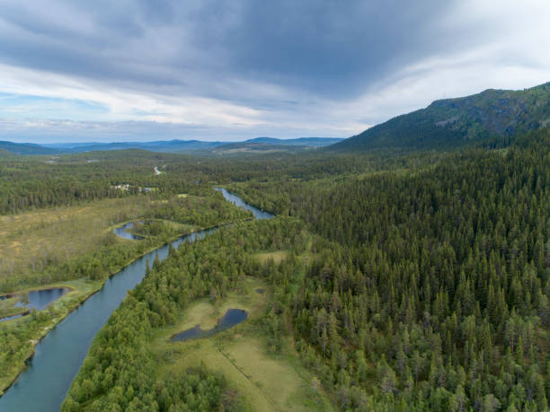 istock Descending on a river passing through a green lush forest landscape 1012408430