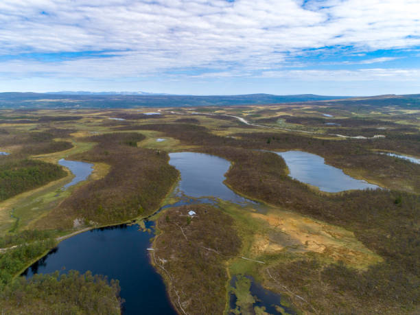 istock Green forest landscape with lakes and rivers 1012408718