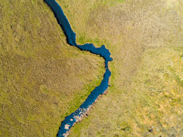 rzeka przechodząca przez zielony krajobraz sawanny - northern lake zdjęcia i obrazy z banku zdjęć