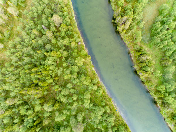 istock River in the green wilderness seen from above 1012411484
