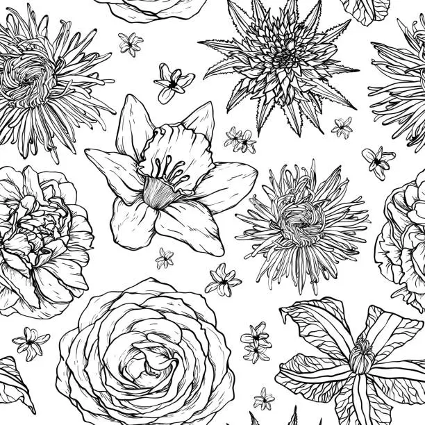 Vector illustration of Floral seamless pattern with skecth of aster, rose, clematis, narcissus, scarlet, peony