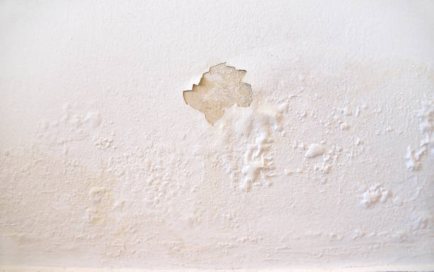 wet wall white Rain water leaks on the wall causing damage and peeling paint peeled photos stock pictures, royalty-free photos & images