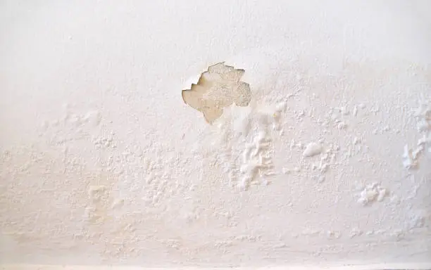 Photo of wet wall white