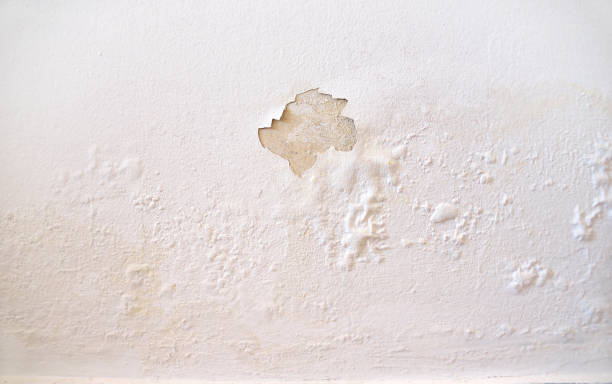 wet wall white - home damage imagens e fotografias de stock