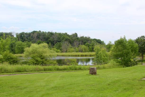 istock Green Grass Land of Countryside 1012426472