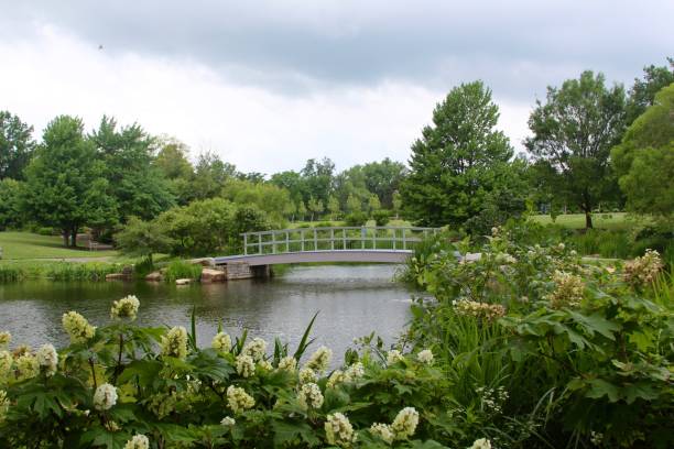 istock Foot Bridge in the Park 1012430112