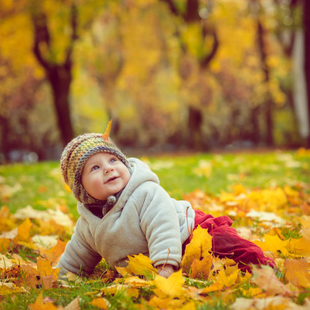istock Happy baby boy in autumn 1012438752