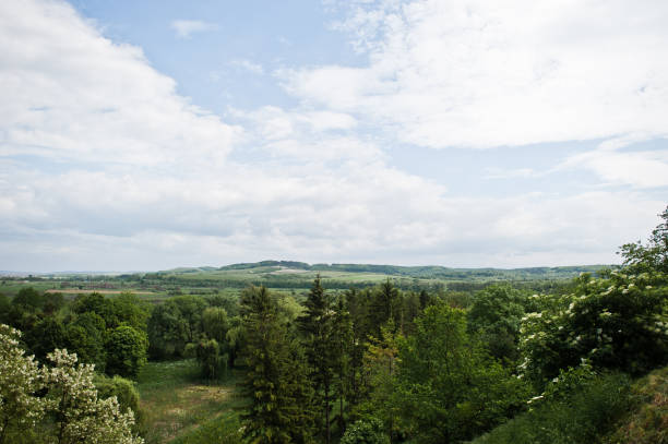 istock Marvellous green landscape with blossoming trees. 1012438966