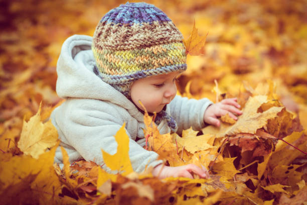 istock Happy baby boy in autumn 1012439102