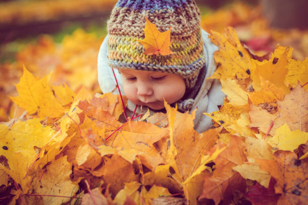 istock Happy baby boy in autumn 1012439342