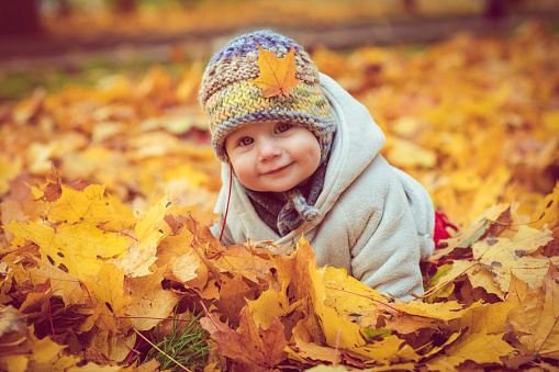 Cute child in autumn leaves