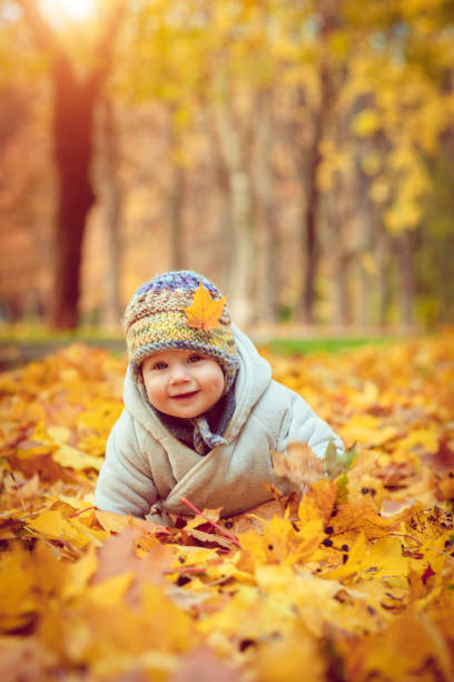 istock Happy baby boy in autumn 1012439430