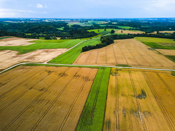 istock Harvesting corn in autumn Aerial top view fields 1012439684