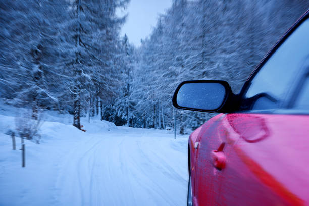 Car Driving in Winter Forest