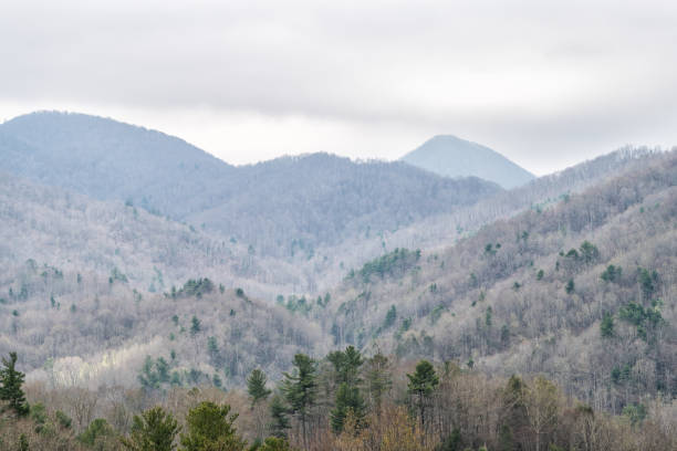 smoky mountains w pobliżu asheville, karolina północna na granicy tennessee w zimie, wiosną, chmury, pochmurne niebo - great smoky mountains tennessee mountain north carolina zdjęcia i obrazy z banku zdjęć