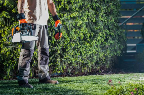 istock Men with Gasoline Saw 1012451566