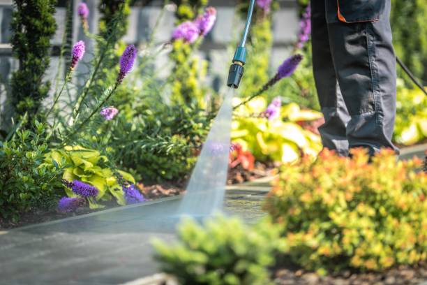 istock Power Washing Garden Paths 1012451760