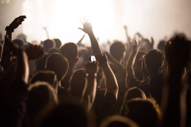 istock Rear view of festival crowd 1012456362