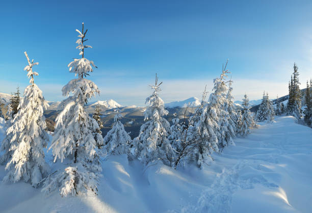 istock Winter in the mountain valley 1012460070