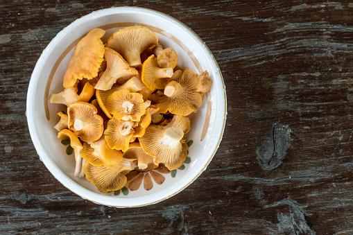 Chanterelle Mushrooms In A Bowl On Wooden Surface