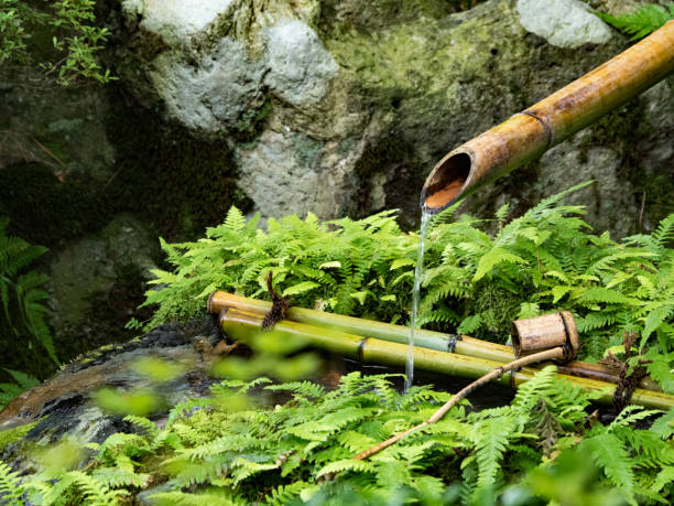 istock Japanese bamboo kakehi 1012470808