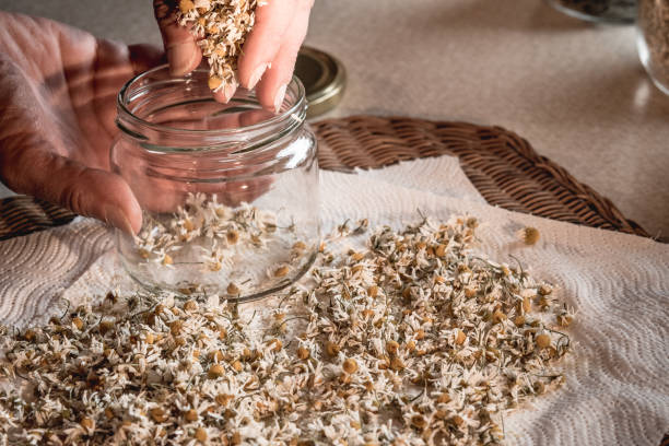 istock Woman's Hands Putting Dried Camomile Flowers In A Jar 1012470816