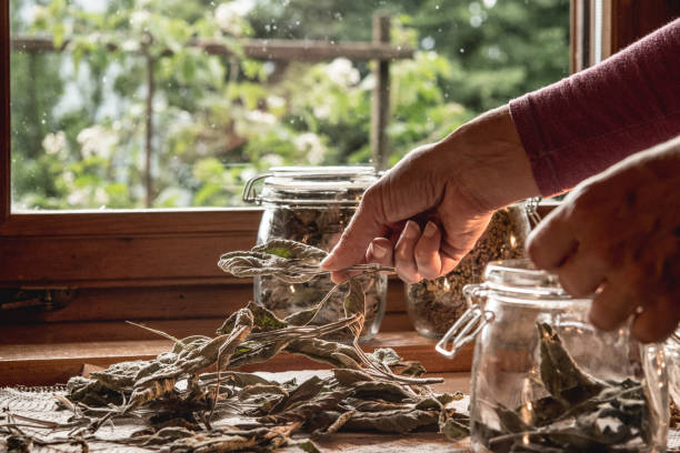 istock Woman's Hands Putting SageTea Leaves In A Jar 1012470838