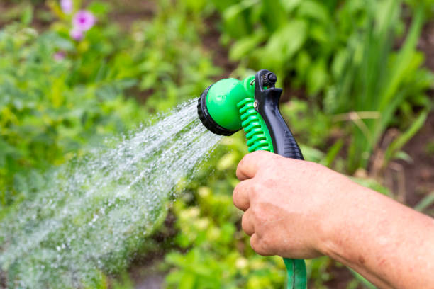 istock Hand watering flowers in the garden 1012472912
