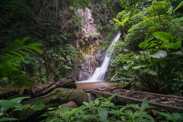 istock Beautiful waterfall in rainforest (Maelai waterfall) chiangmai, thailand 1012475278