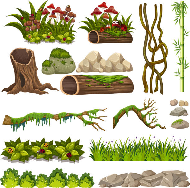 자연 요소 집합 - moss fungus mushroom plant stock illustrations